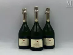 CHAMPAGNE--img1