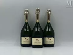 CHAMPAGNE--img1