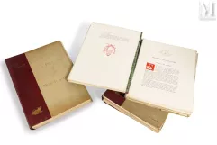 LA PEINTURE AU MUSÉE DE LILLE _ Livres par François Benoit--img1