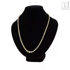 Collier de perles fines--img1