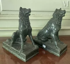 Molosse du Belvédère--img1