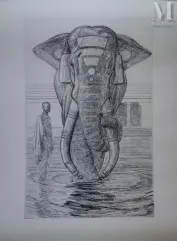 Paul JOUVE (1878 - 1973)
Gravure-Elephants du temple de Siva-img1