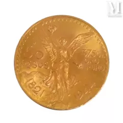 Pièce 50 Pesos or--img1