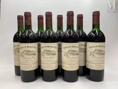 CH.DU VIEUX MOULIN--img1