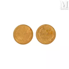 Deux pièces de 2 pesos or--img1