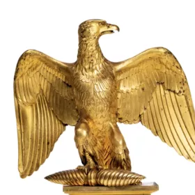 aigle
